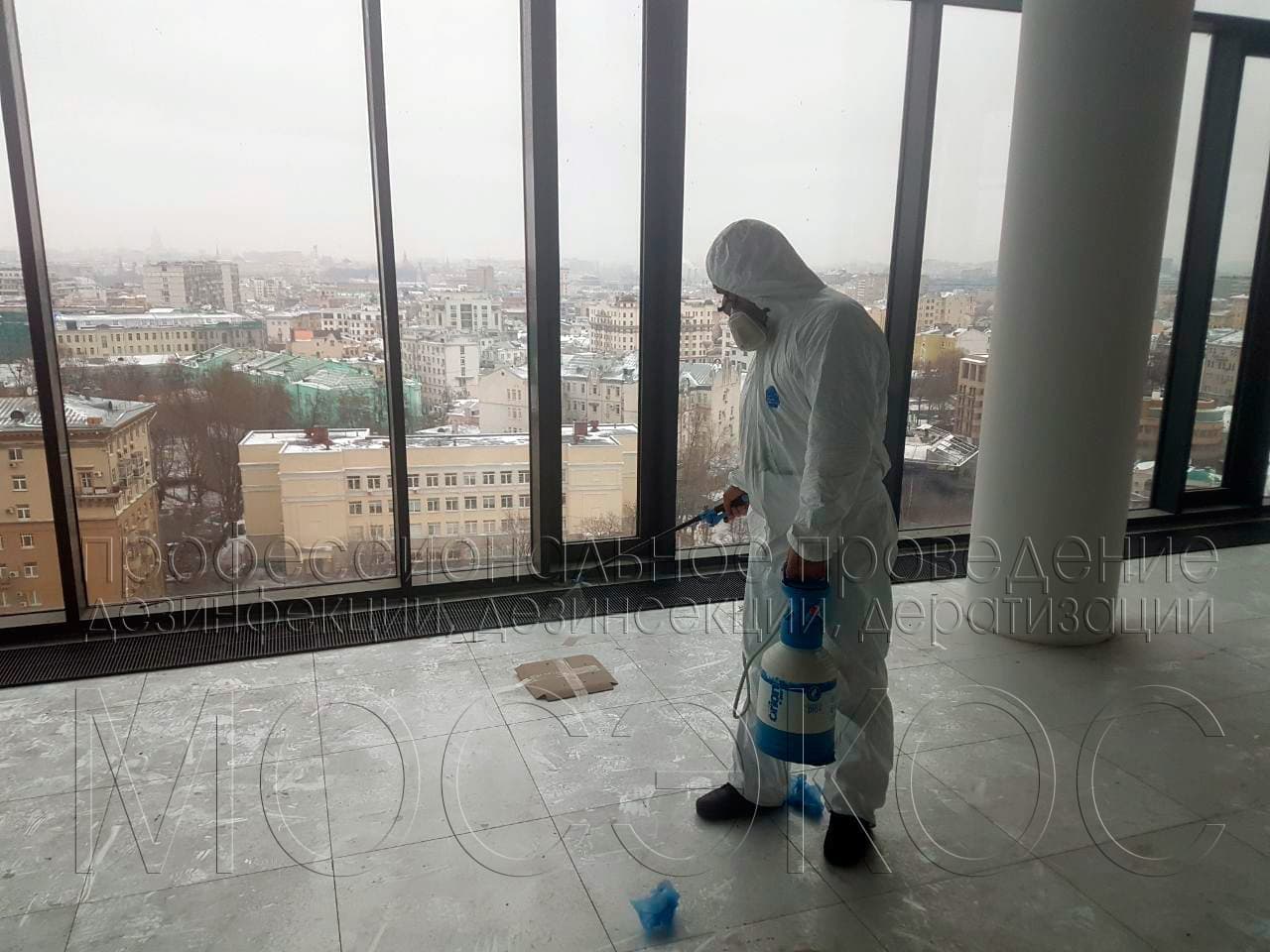 Обработка от тараканов в квартире в Москве
