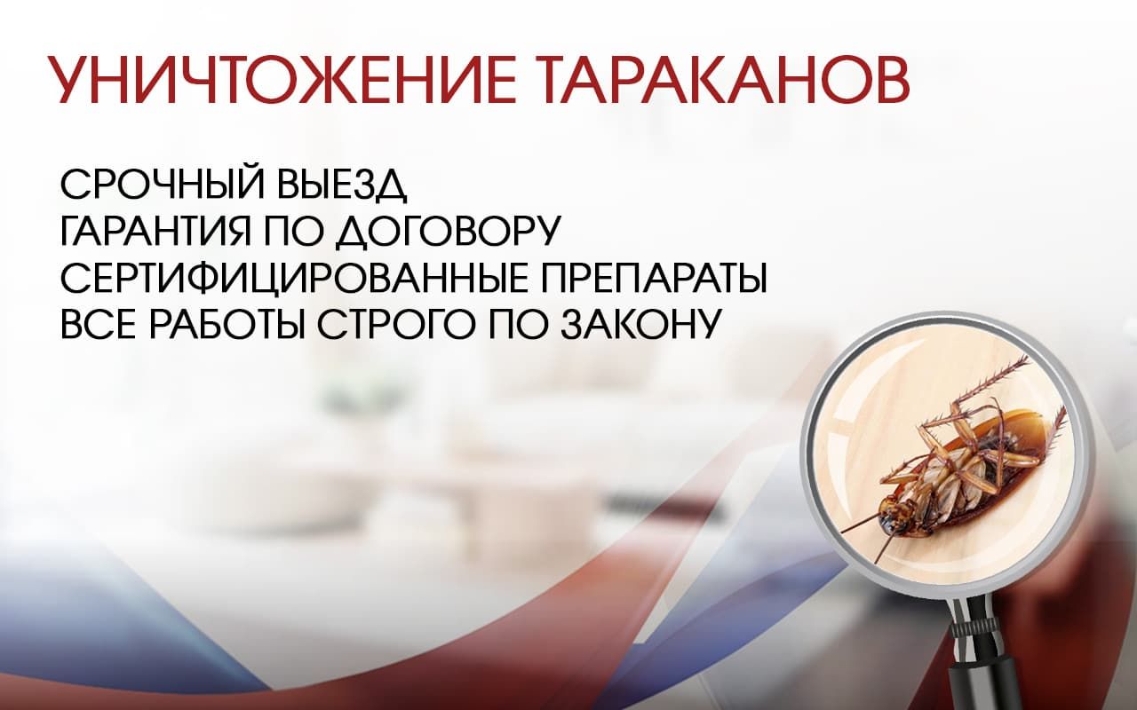 Уничтожение тараканов в коттедже  в Москве