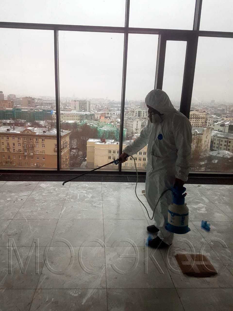 Пест-контроль (Pest Control) в Москве