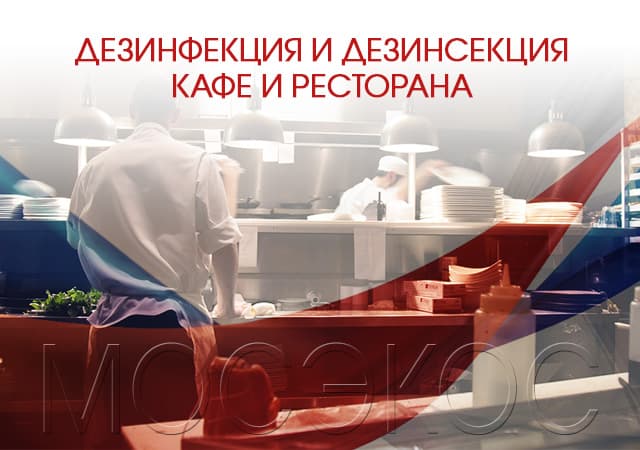 Дезинсекция предприятия общественного питания в Москве