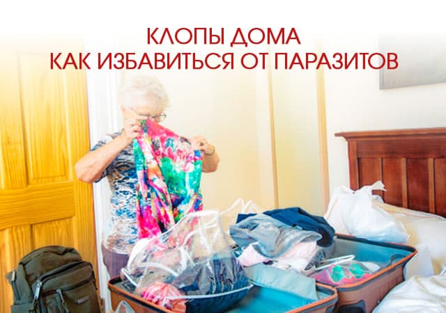 Клопы дома: как избавиться от паразитов в Москве